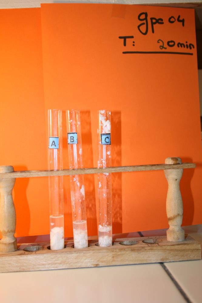 gal/LES_CINQUIEMES/ACTIVITE DIGESTION IN VITRO/Groupe_04/Groupe04_T_00h20min/Groupe04_T_00h_20min_4.JPG